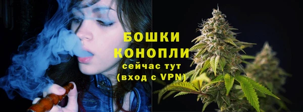 стафф Костерёво
