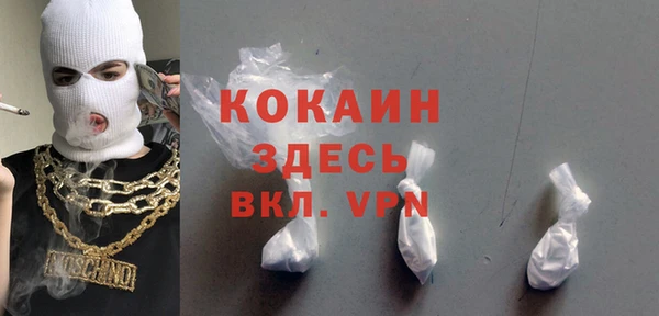 ПСИЛОЦИБИНОВЫЕ ГРИБЫ Коряжма