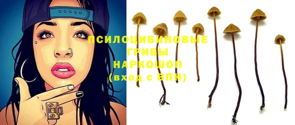 ПСИЛОЦИБИНОВЫЕ ГРИБЫ Коряжма
